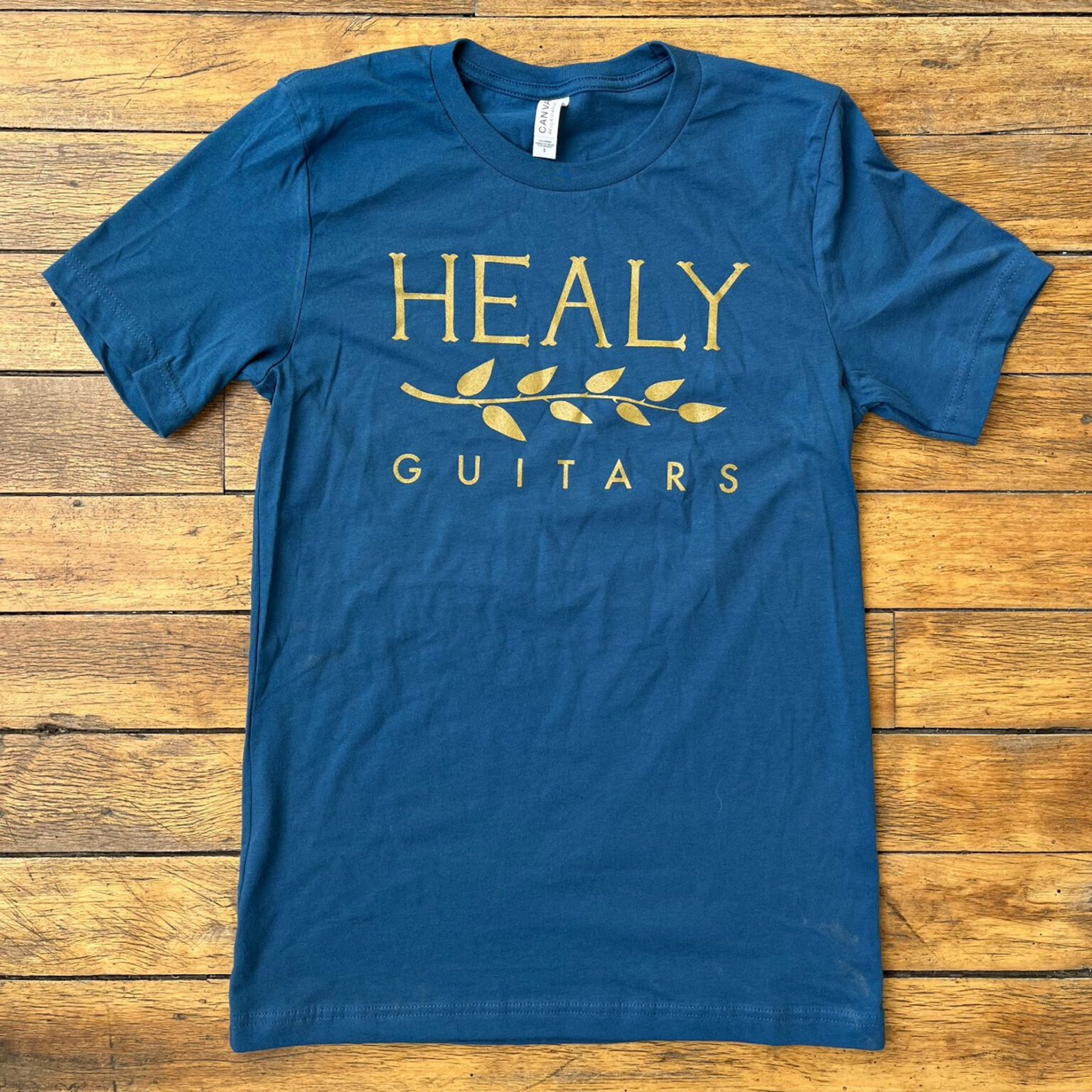 men-s-t-shirt-teal-healy-guitars